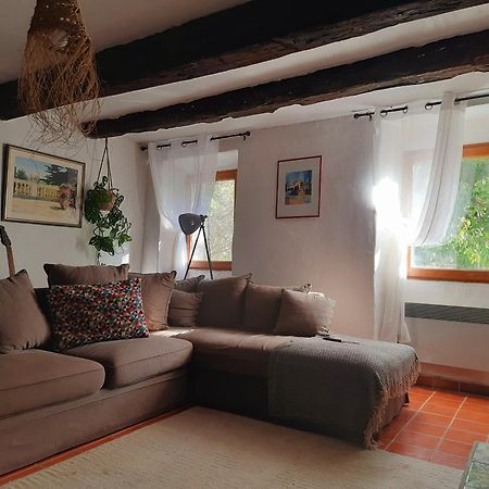 Petit Moulin Villa Le Cannet-des-Maures Ngoại thất bức ảnh